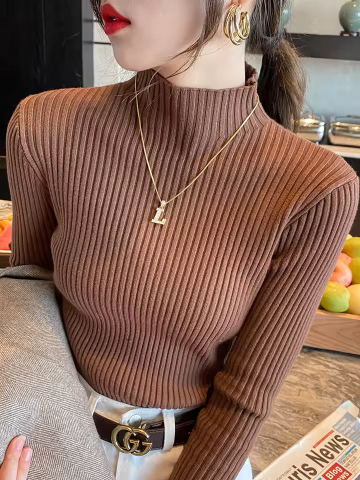 Elegant Solid Women Turtleneck Sweater
