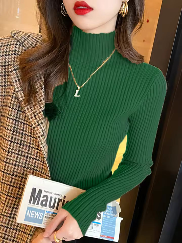Elegant Solid Women Turtleneck Sweater